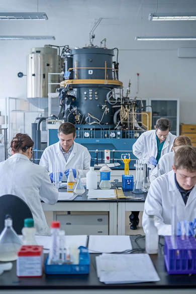 Meet trends of the season